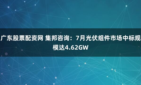 广东股票配资网 集邦咨询：7月光伏组件市场中标规模达4.62GW