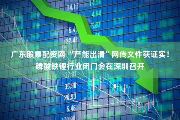 广东股票配资网 “产能出清”网传文件获证实！磷酸铁锂行业闭门会在深圳召开