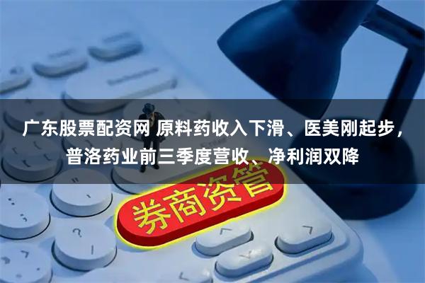 广东股票配资网 原料药收入下滑、医美刚起步，普洛药业前三季度营收、净利润双降