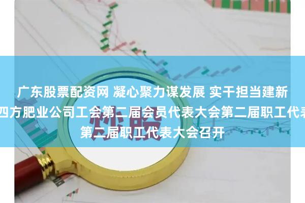 广东股票配资网 凝心聚力谋发展 实干担当建新功|中盐红四方肥业公司工会第二届会员代表大会第二届职工代表大会召开