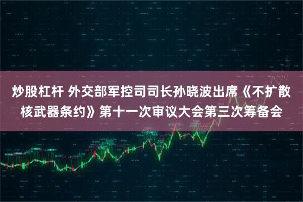 炒股杠杆 外交部军控司司长孙晓波出席《不扩散核武器条约》第十一次审议大会第三次筹备会